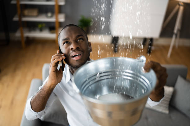 Best 24/7 water damage repair  in Alva, FL