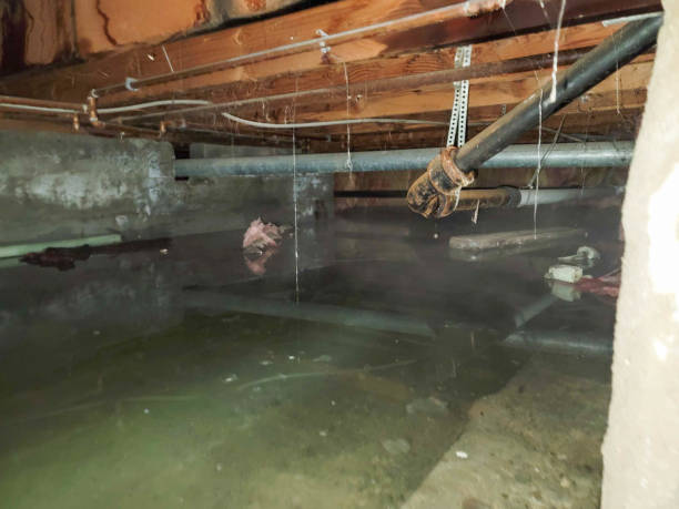 Best Ceiling water damage repair  in Alva, FL