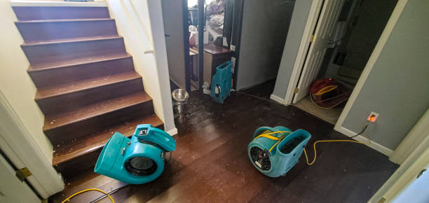 Best Water damage cleanup near me  in Alva, FL
