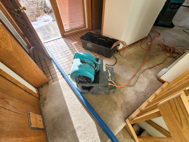 Reliable Alva, FL Water damage restoration Solutions