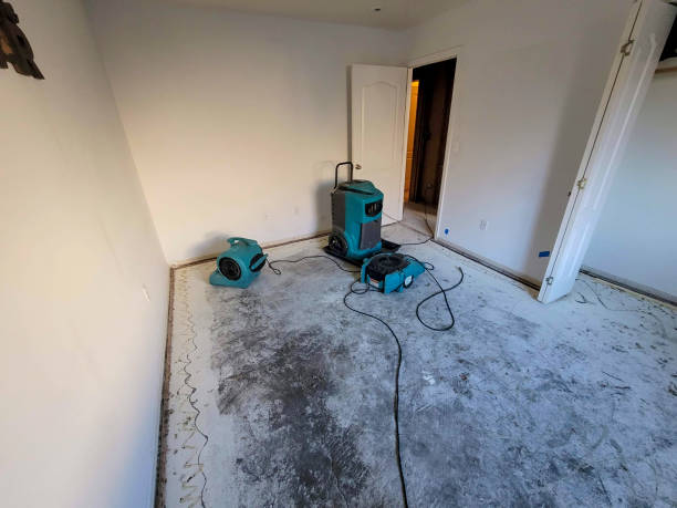 Best Emergency water damage restoration  in Alva, FL