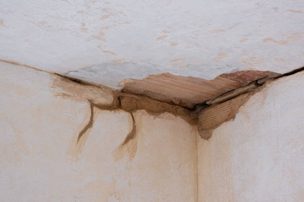 Best Commercial water damage restoration  in Alva, FL