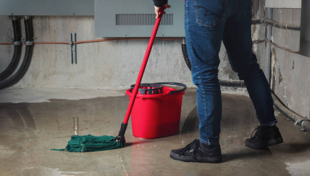 Best Water damage restoration process  in Alva, FL