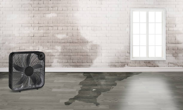 Best Residential water damage restoration  in Alva, FL