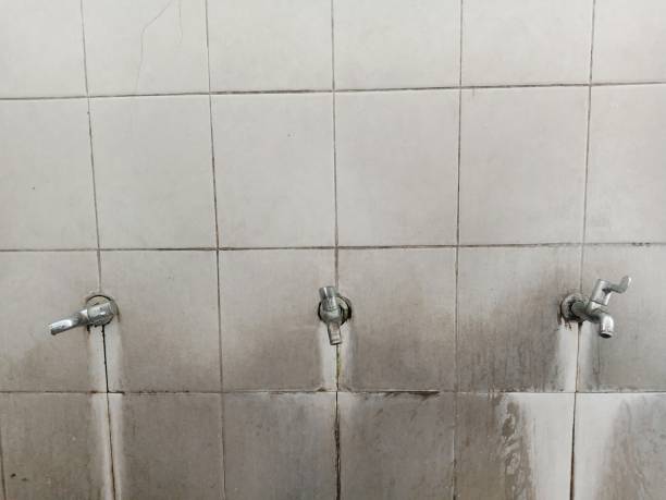 Best Flood restoration services  in Alva, FL