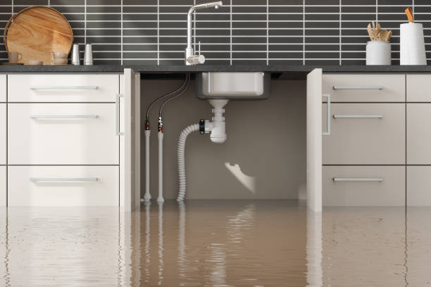 Best Water damage restoration services  in Alva, FL