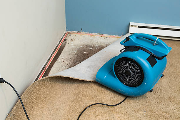 Water damage restoration mold remediation in Alva, FL